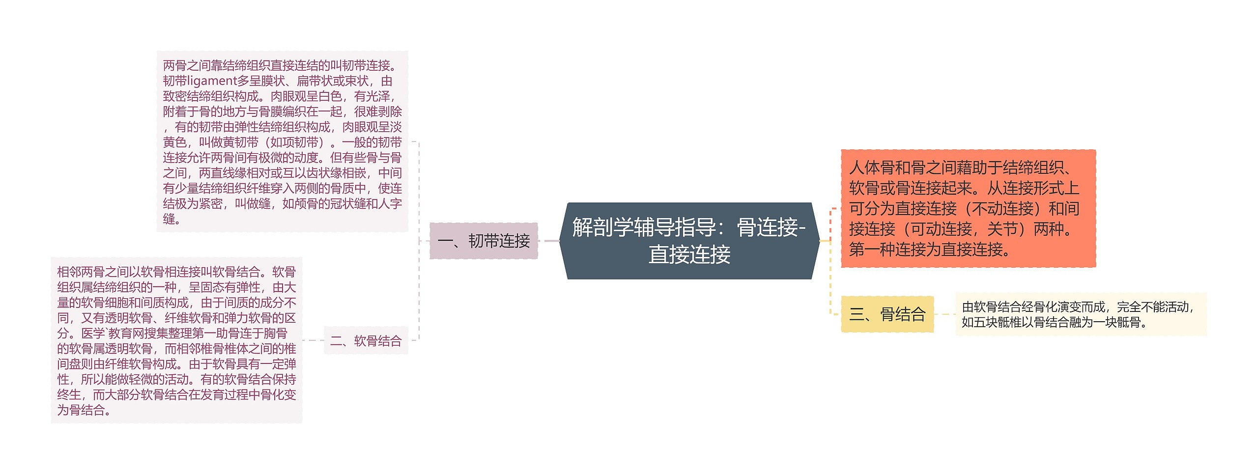 解剖学辅导指导：骨连接-直接连接思维导图