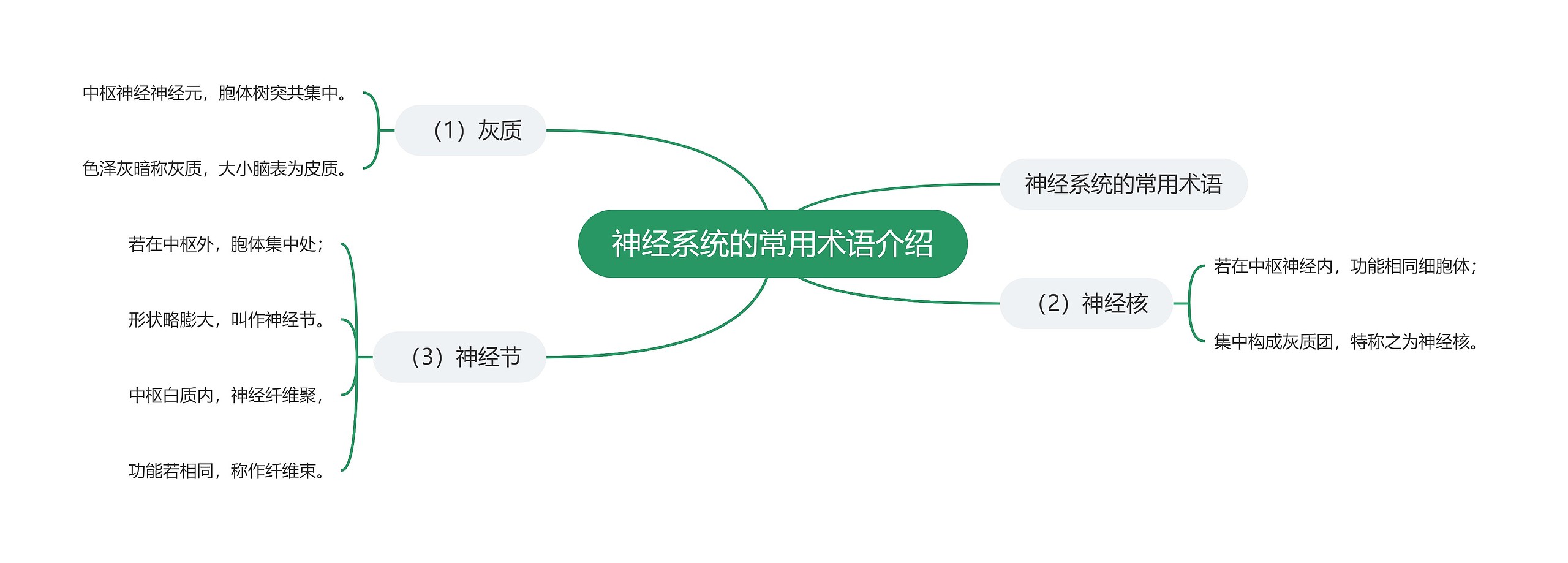 神经系统的常用术语介绍