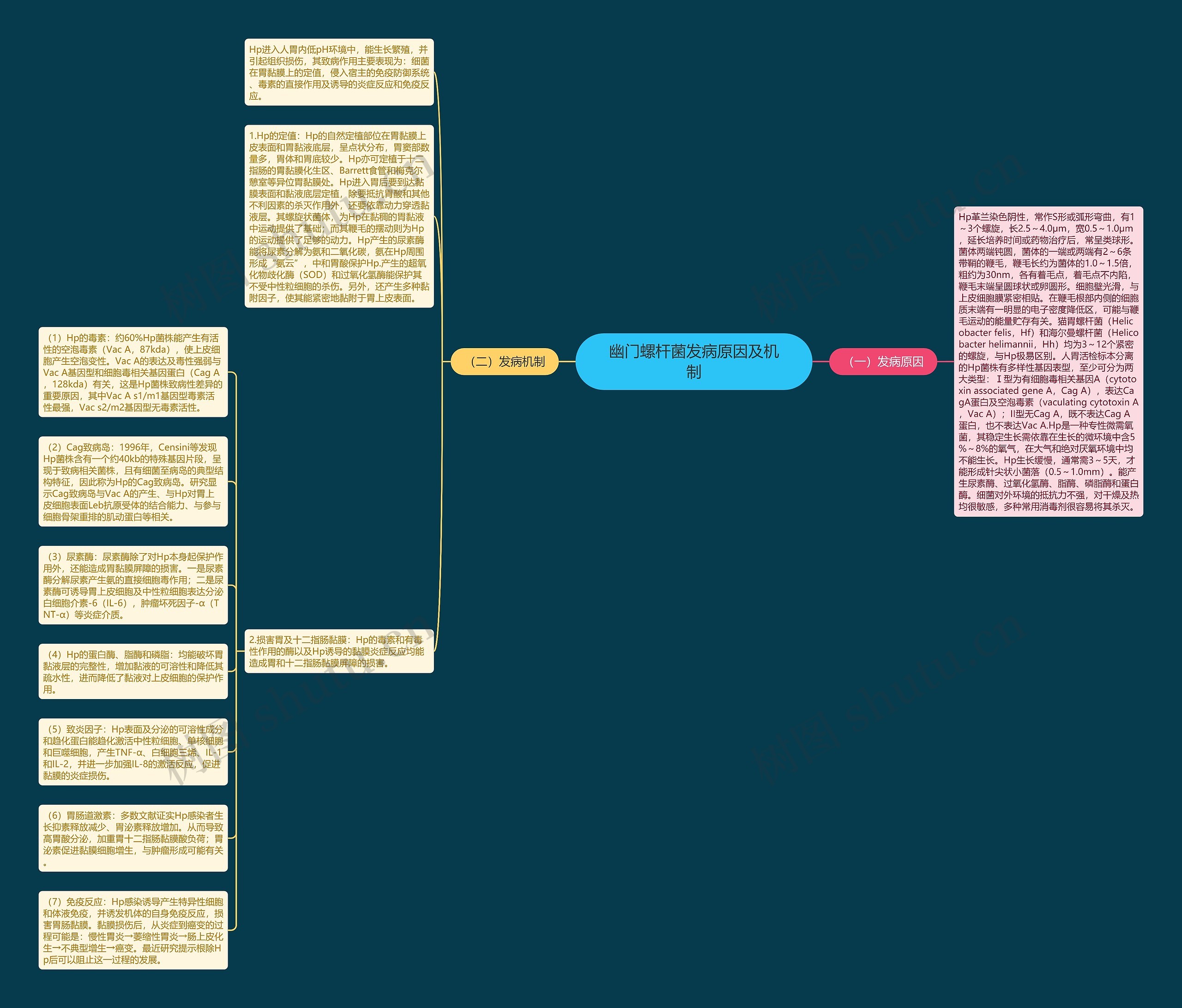 幽门螺杆菌发病原因及机制思维导图