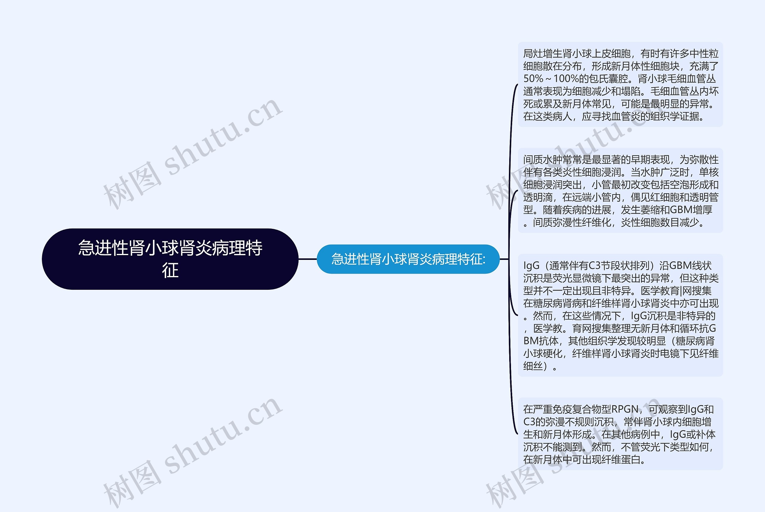 急进性肾小球肾炎病理特征思维导图