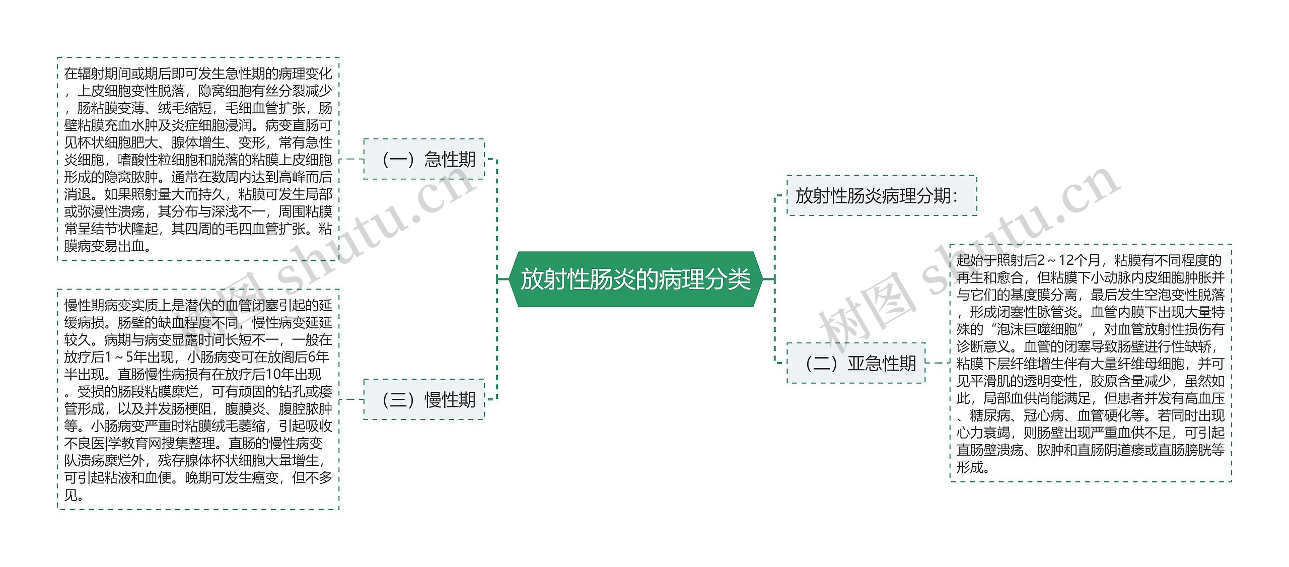 放射性肠炎的病理分类