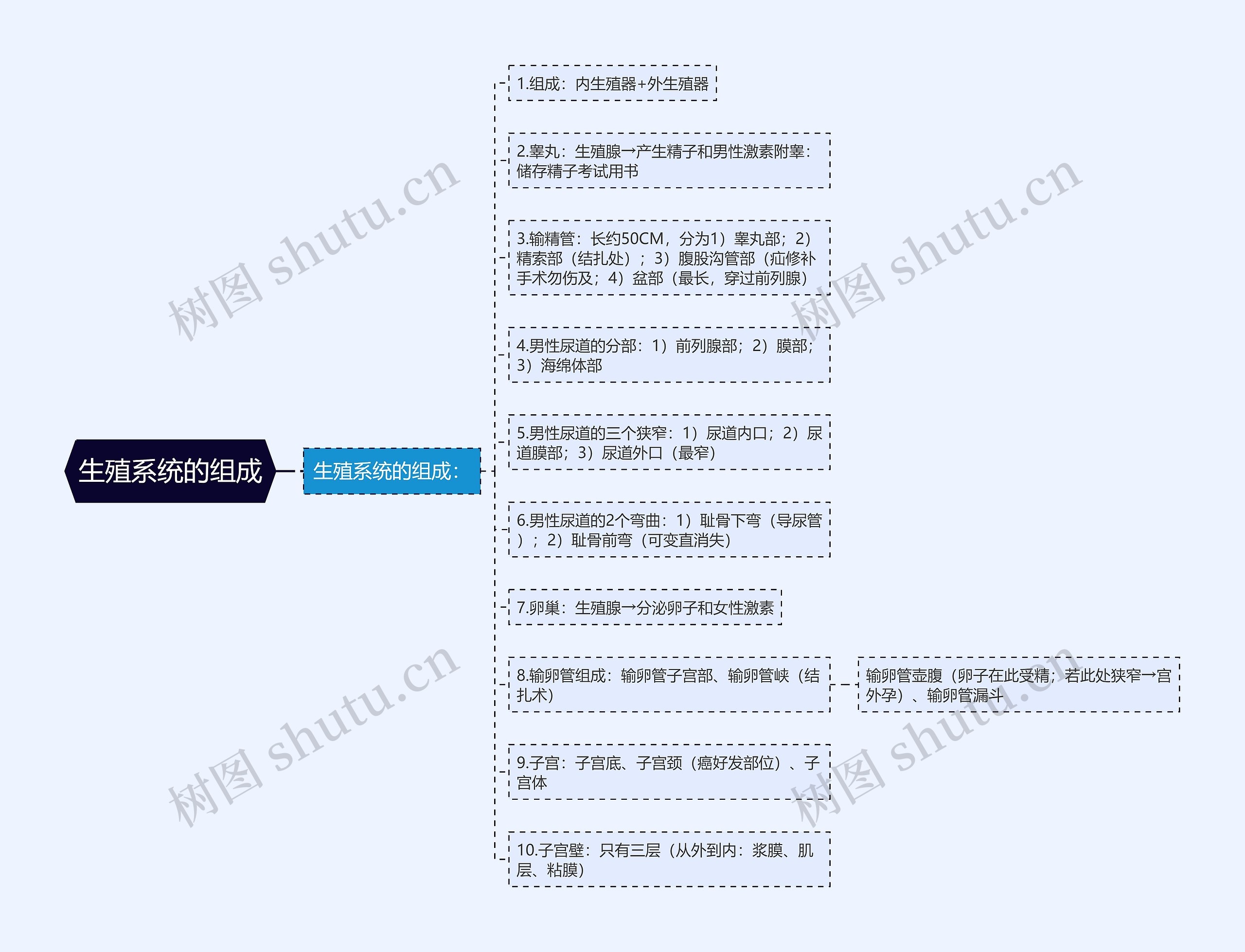 生殖系统的组成思维导图