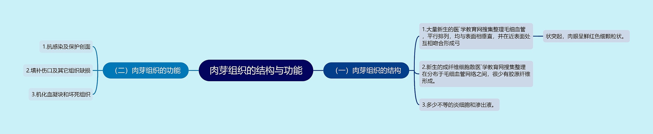 肉芽组织的结构与功能思维导图