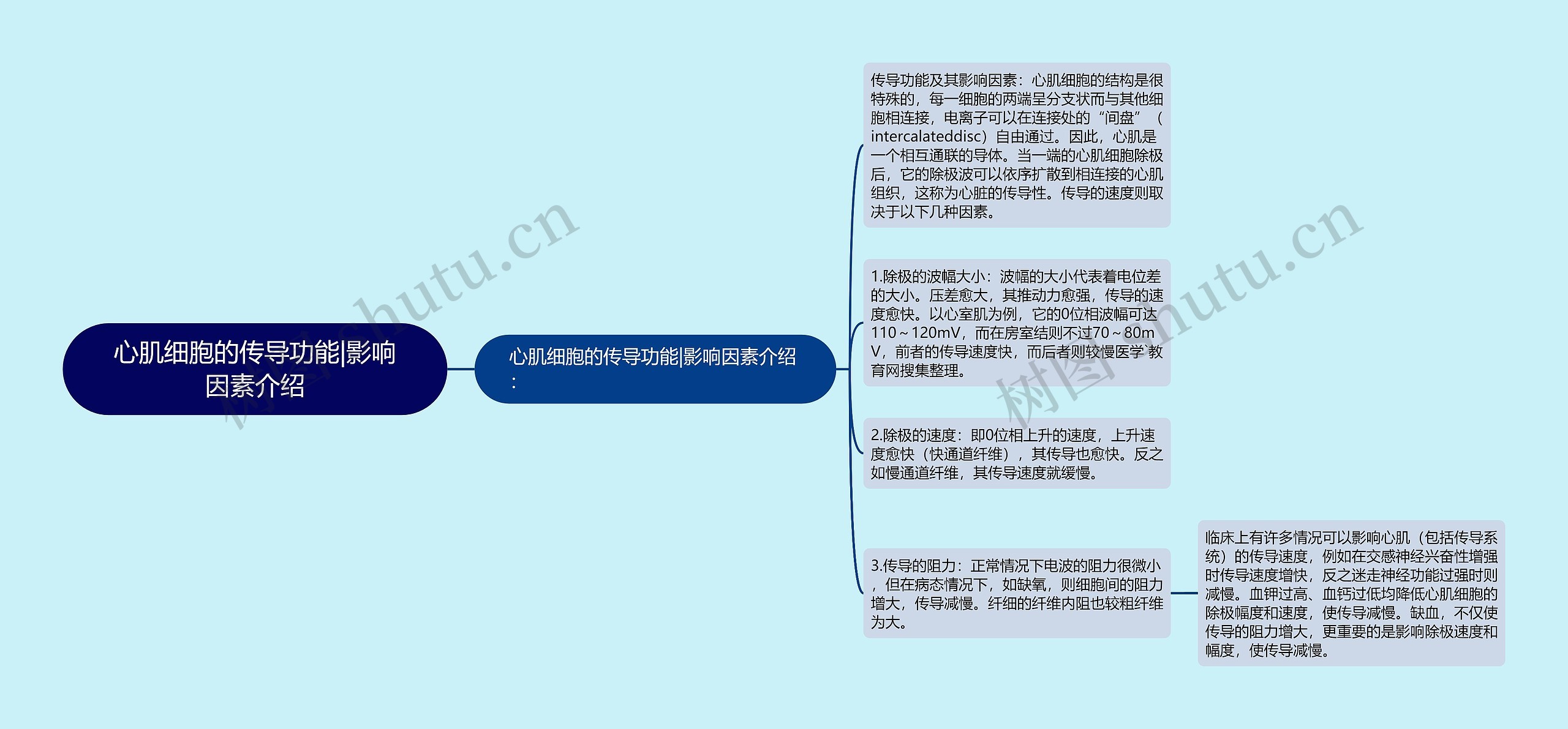 心肌细胞的传导功能|影响因素介绍