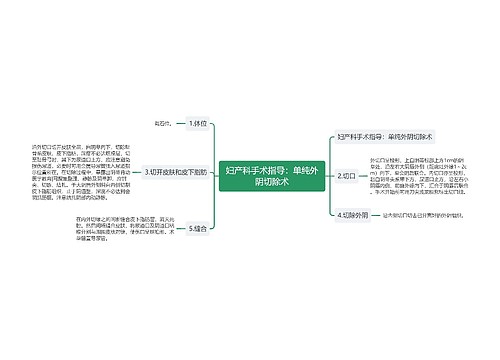 妇产科手术指导：单纯外阴切除术