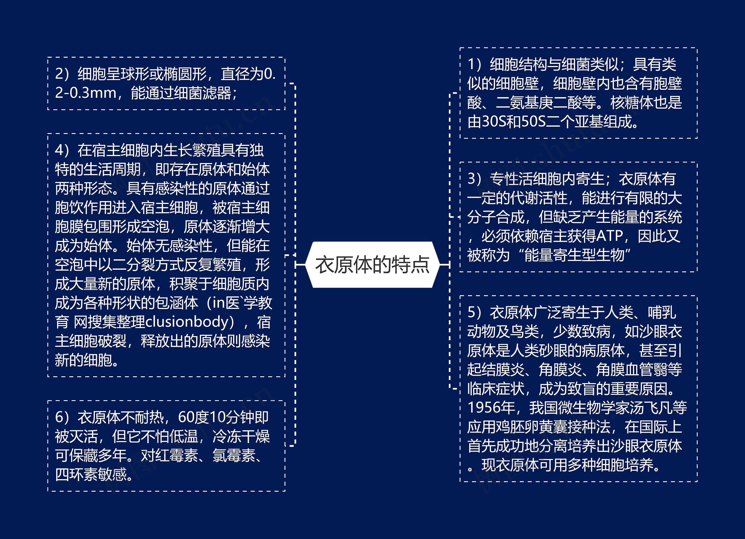 衣原体的特点