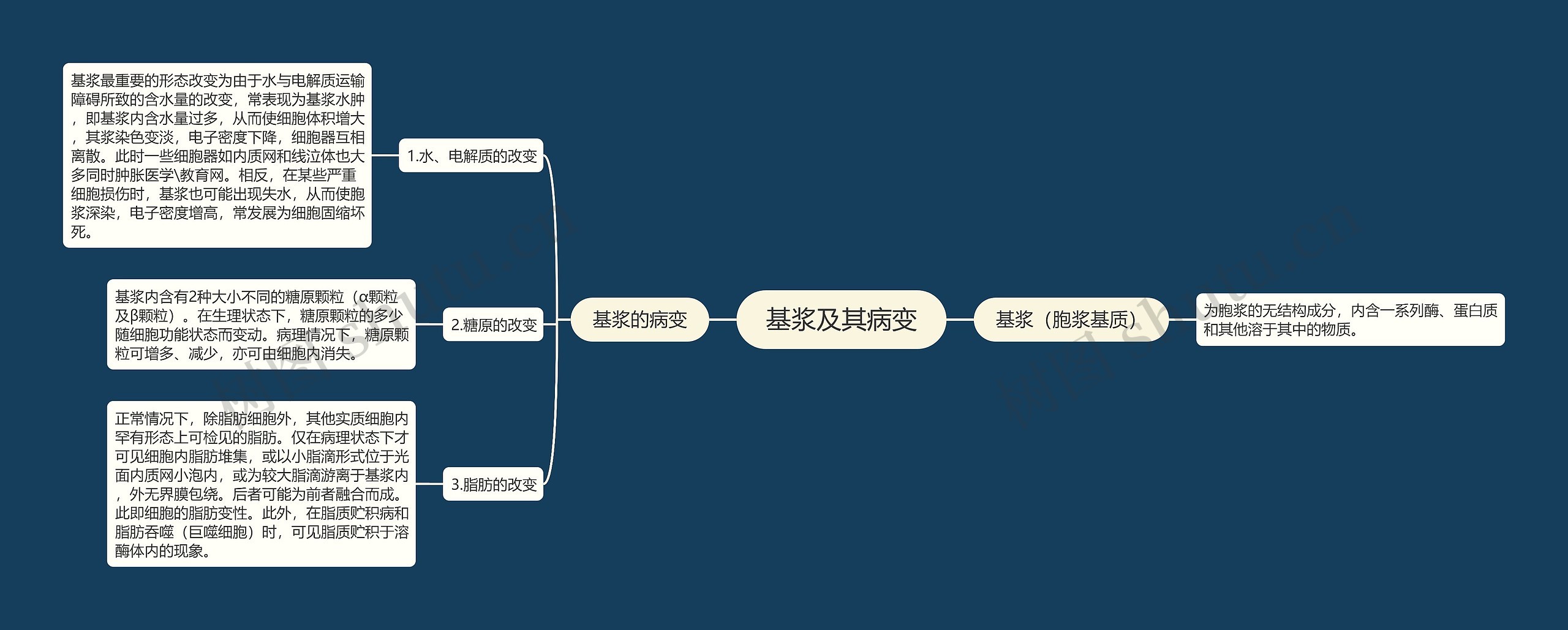 基浆及其病变 基浆及其病变