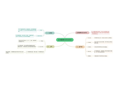 全身重要的肌性标志