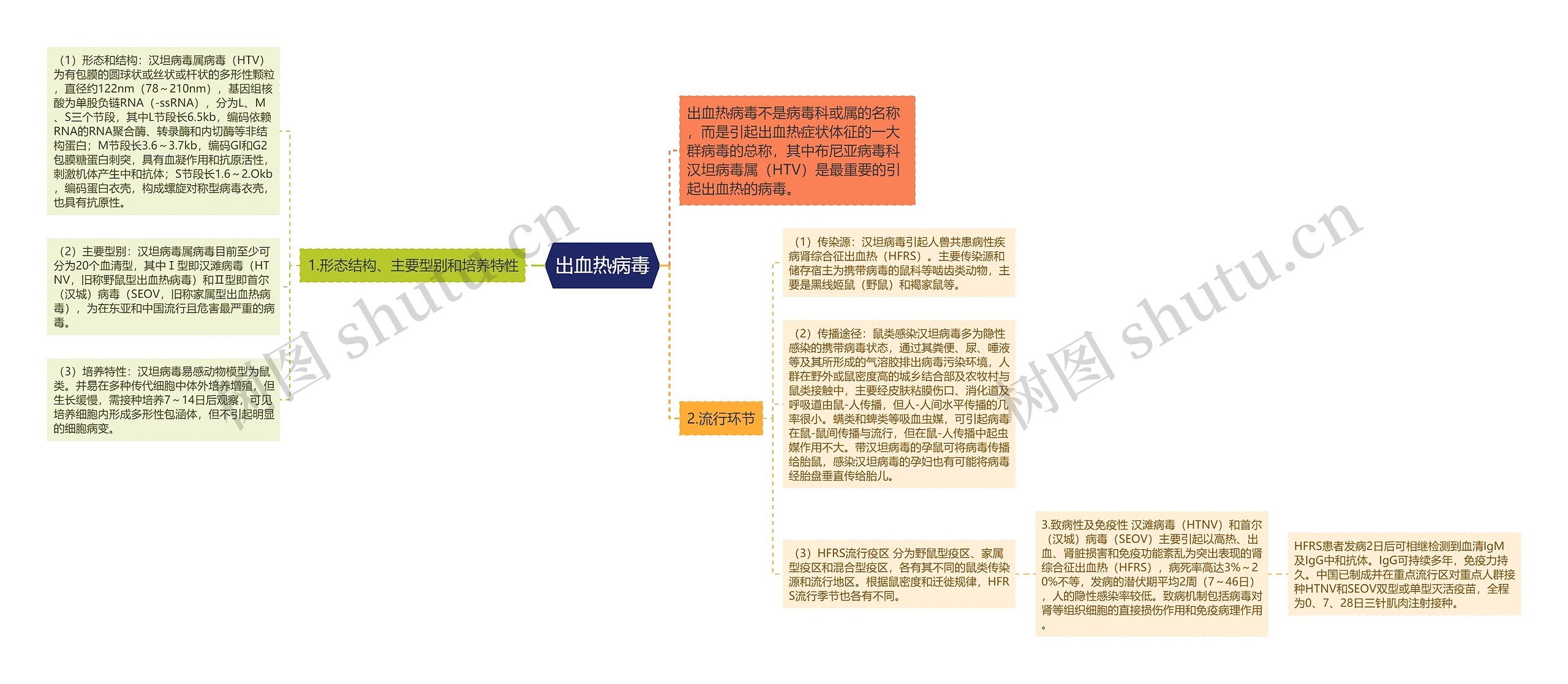 出血热病毒思维导图