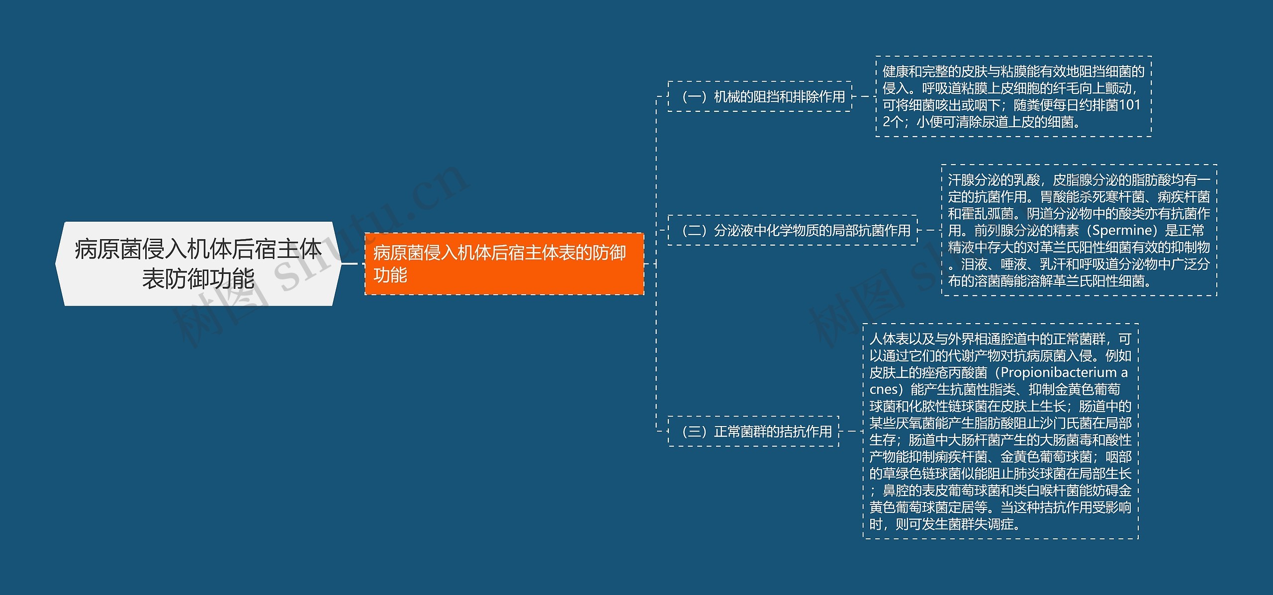 病原菌侵入机体后宿主体表防御功能思维导图