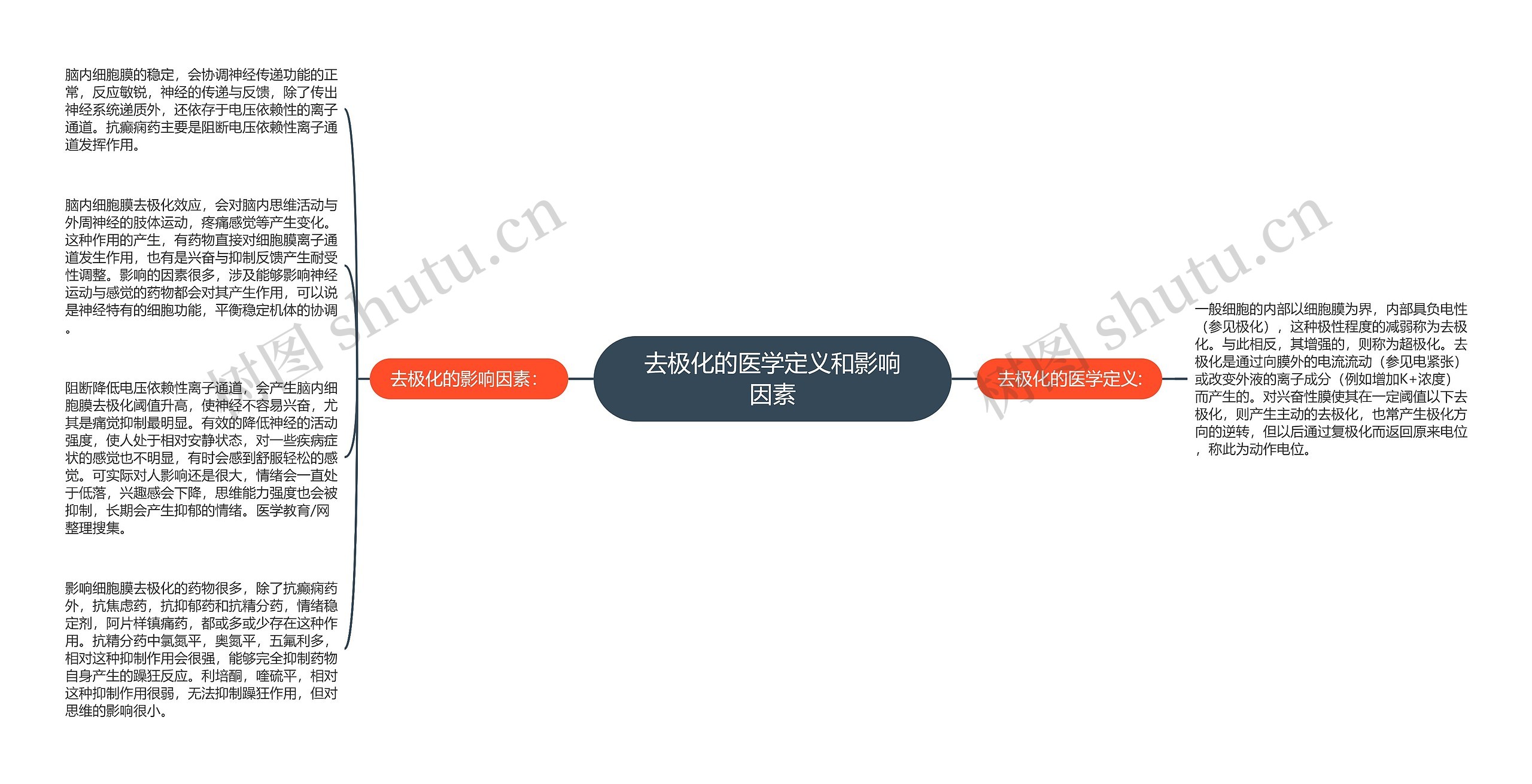 去极化的医学定义和影响因素思维导图