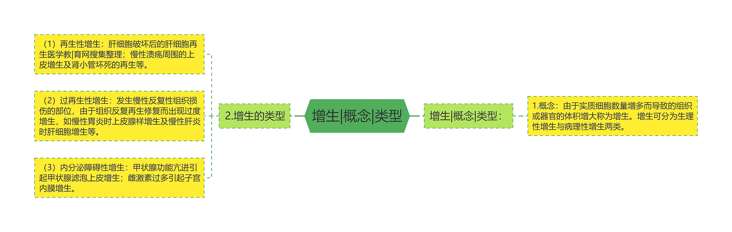 增生|概念|类型思维导图