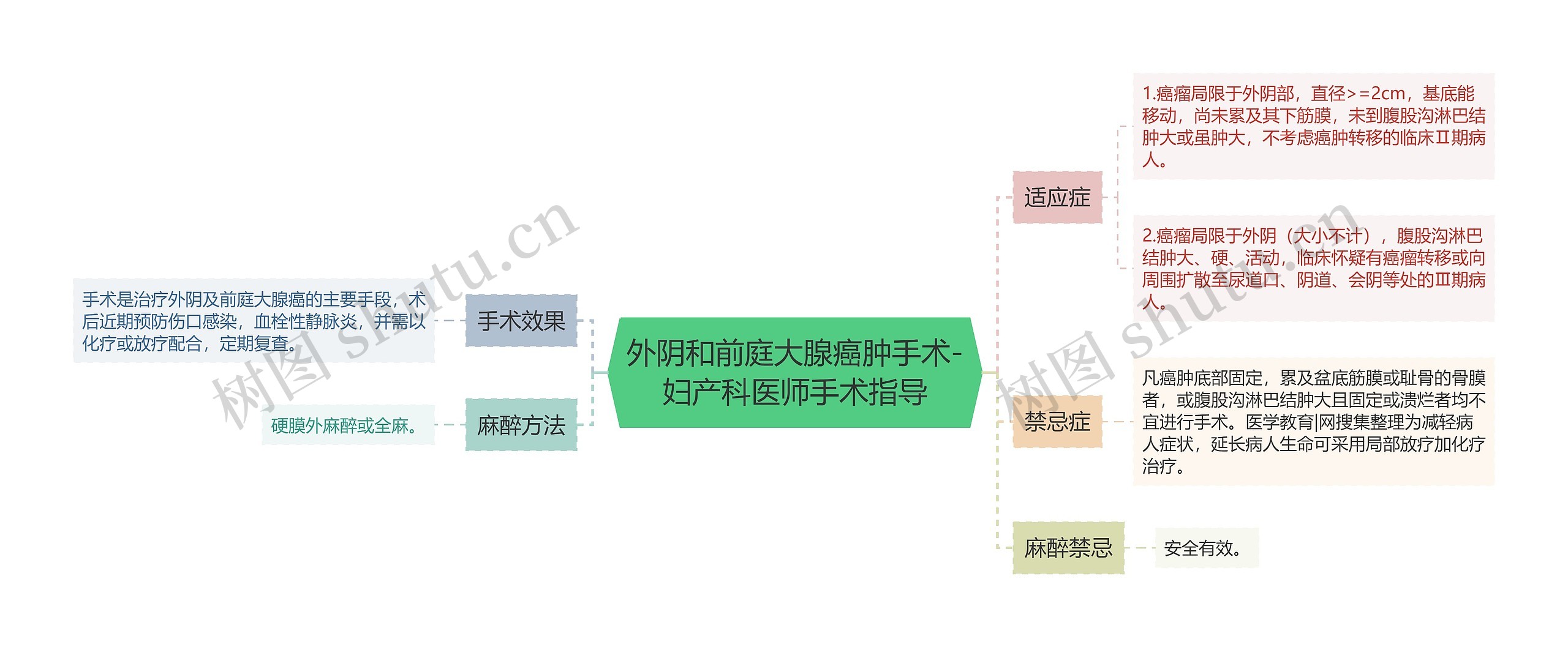 外阴和前庭大腺癌肿手术-妇产科医师手术指导