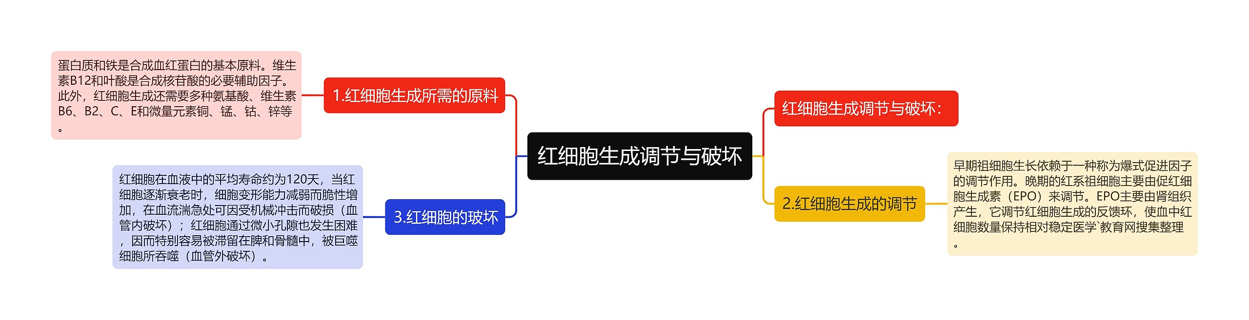 红细胞生成调节与破坏思维导图