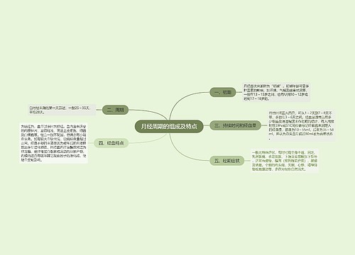 月经周期的组成及特点