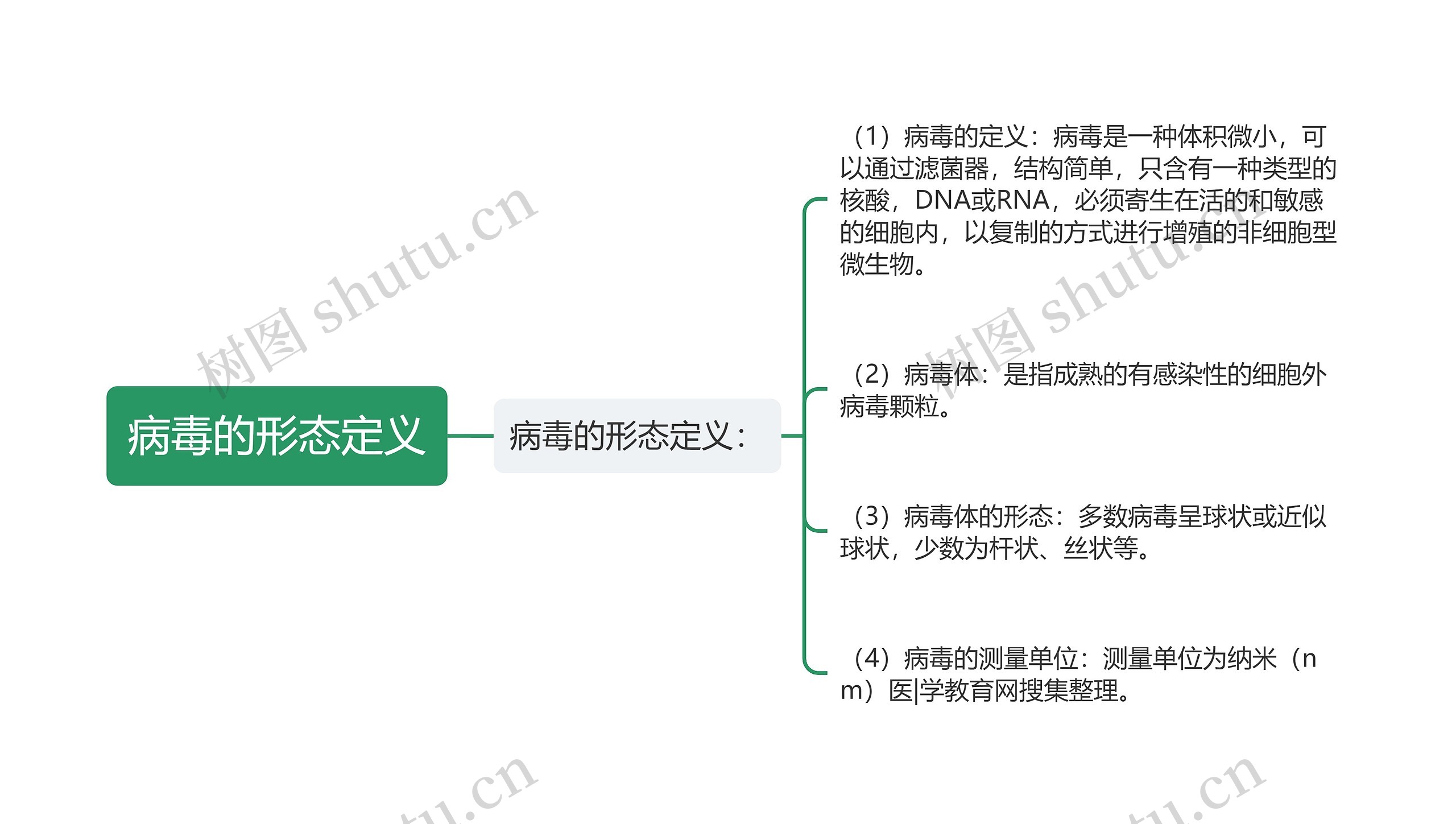 病毒的形态定义