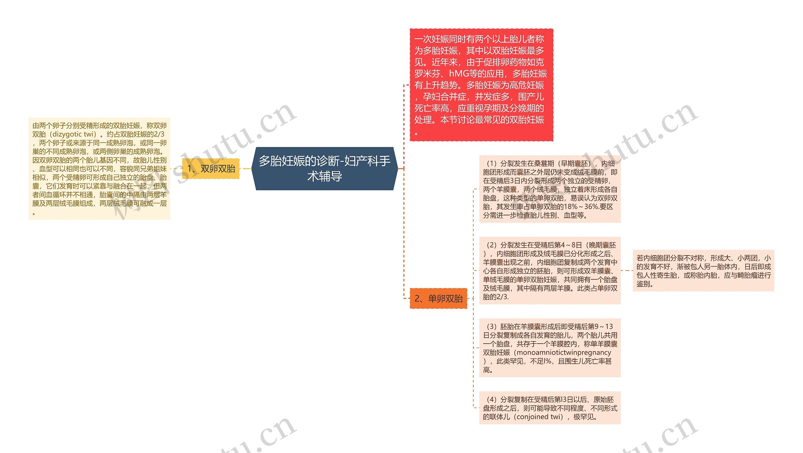 多胎妊娠的诊断-妇产科手术辅导