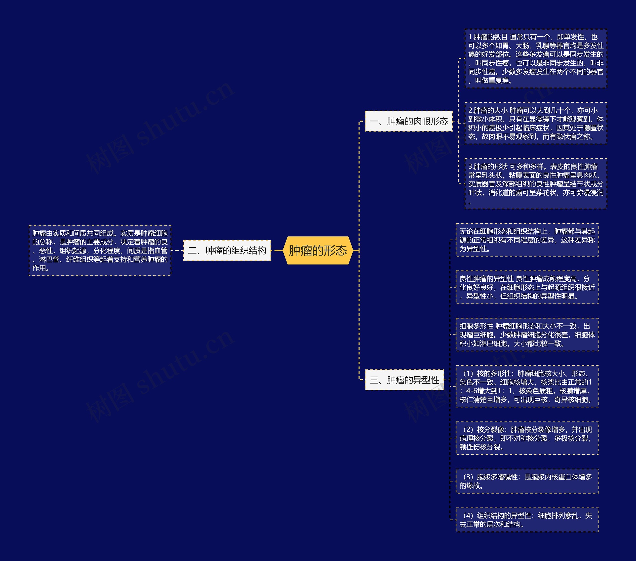 肿瘤的形态