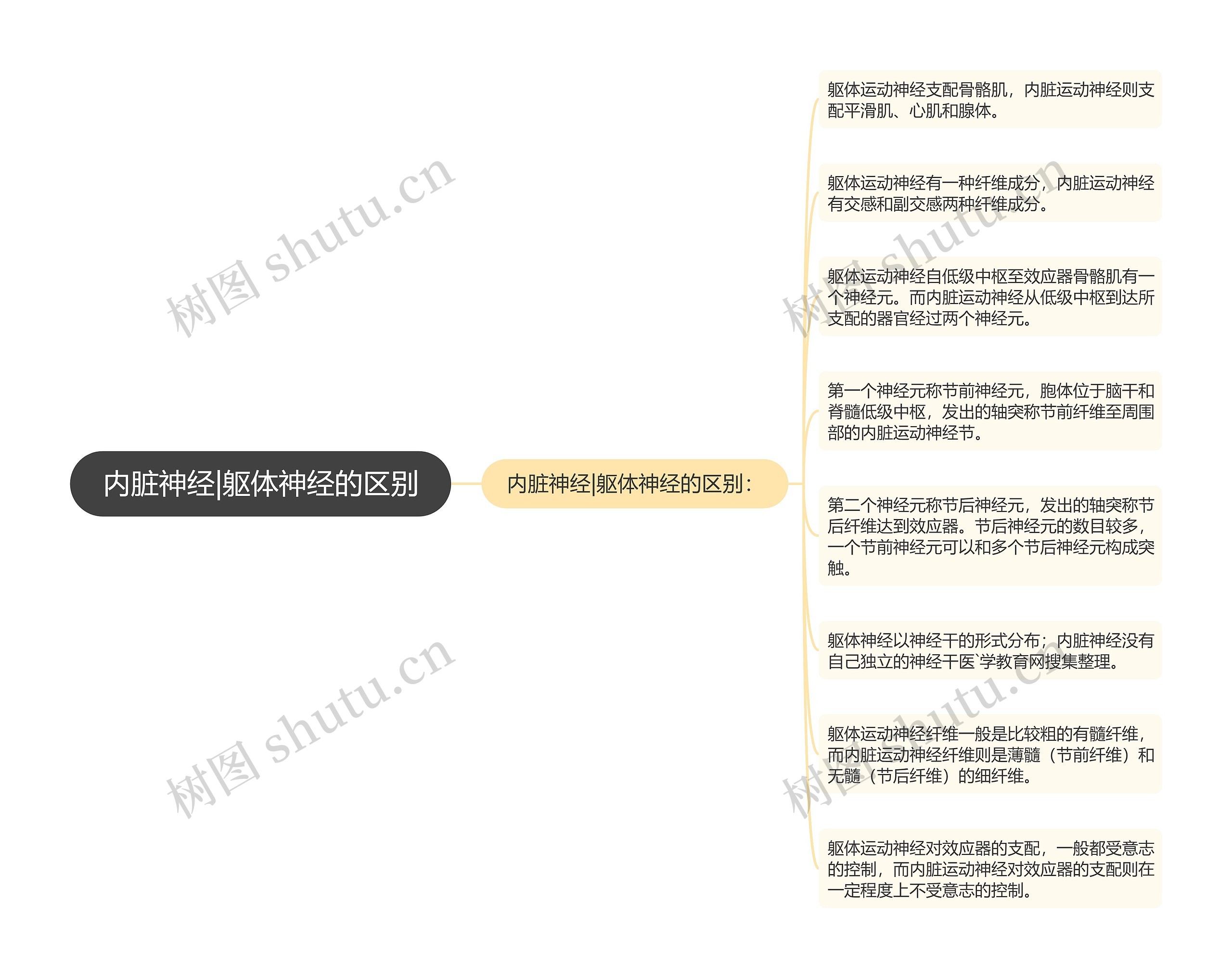 内脏神经|躯体神经的区别