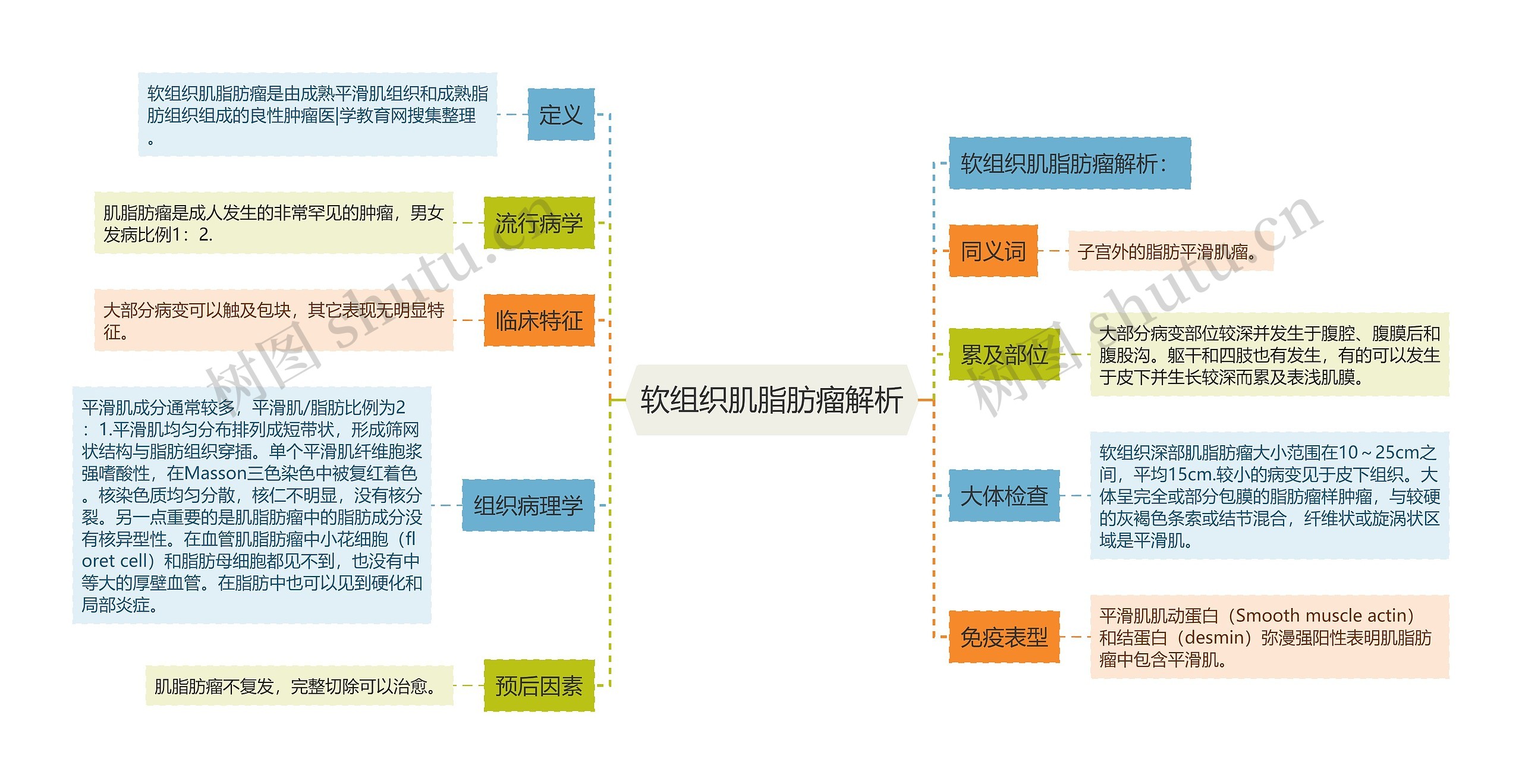 软组织肌脂肪瘤解析