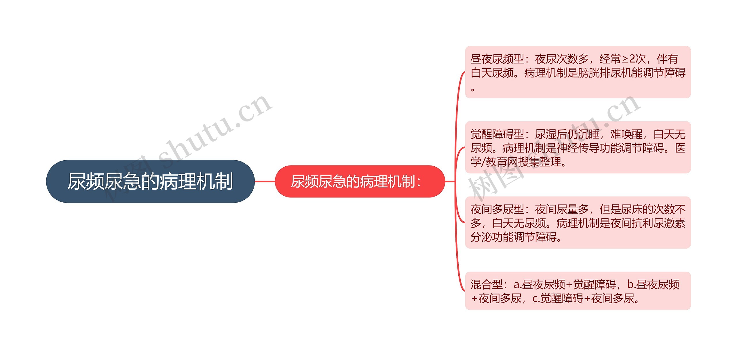 尿频尿急的病理机制思维导图