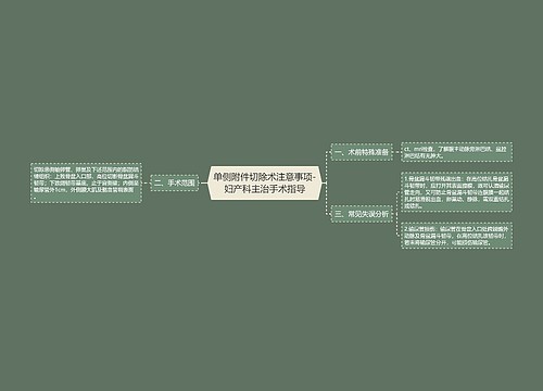 单侧附件切除术注意事项-妇产科主治手术指导