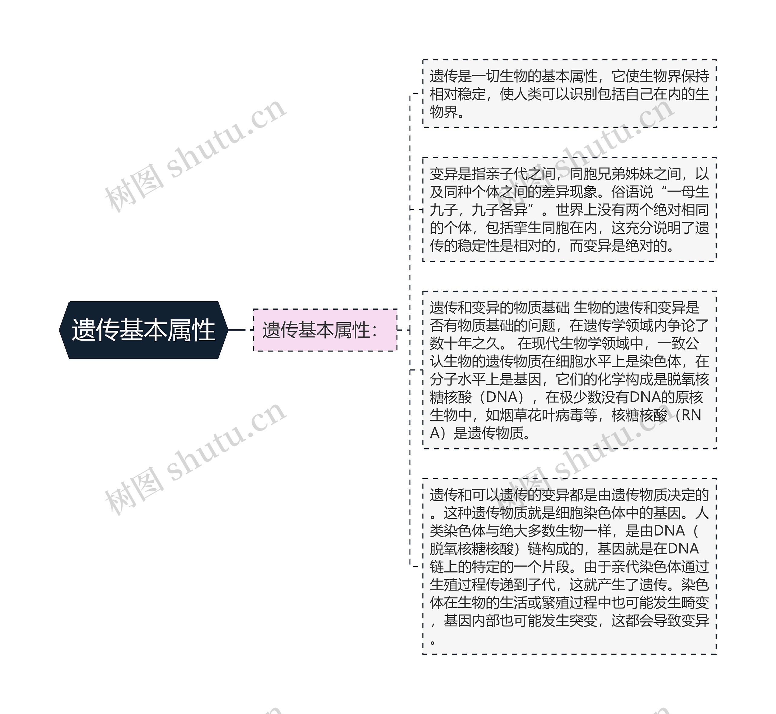 遗传基本属性 遗传基本属性