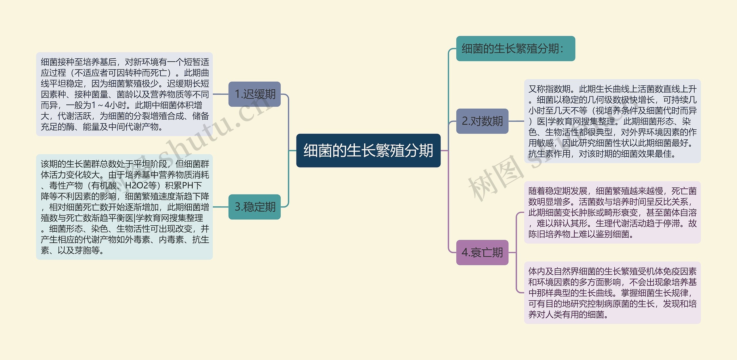 细菌的生长繁殖分期思维导图