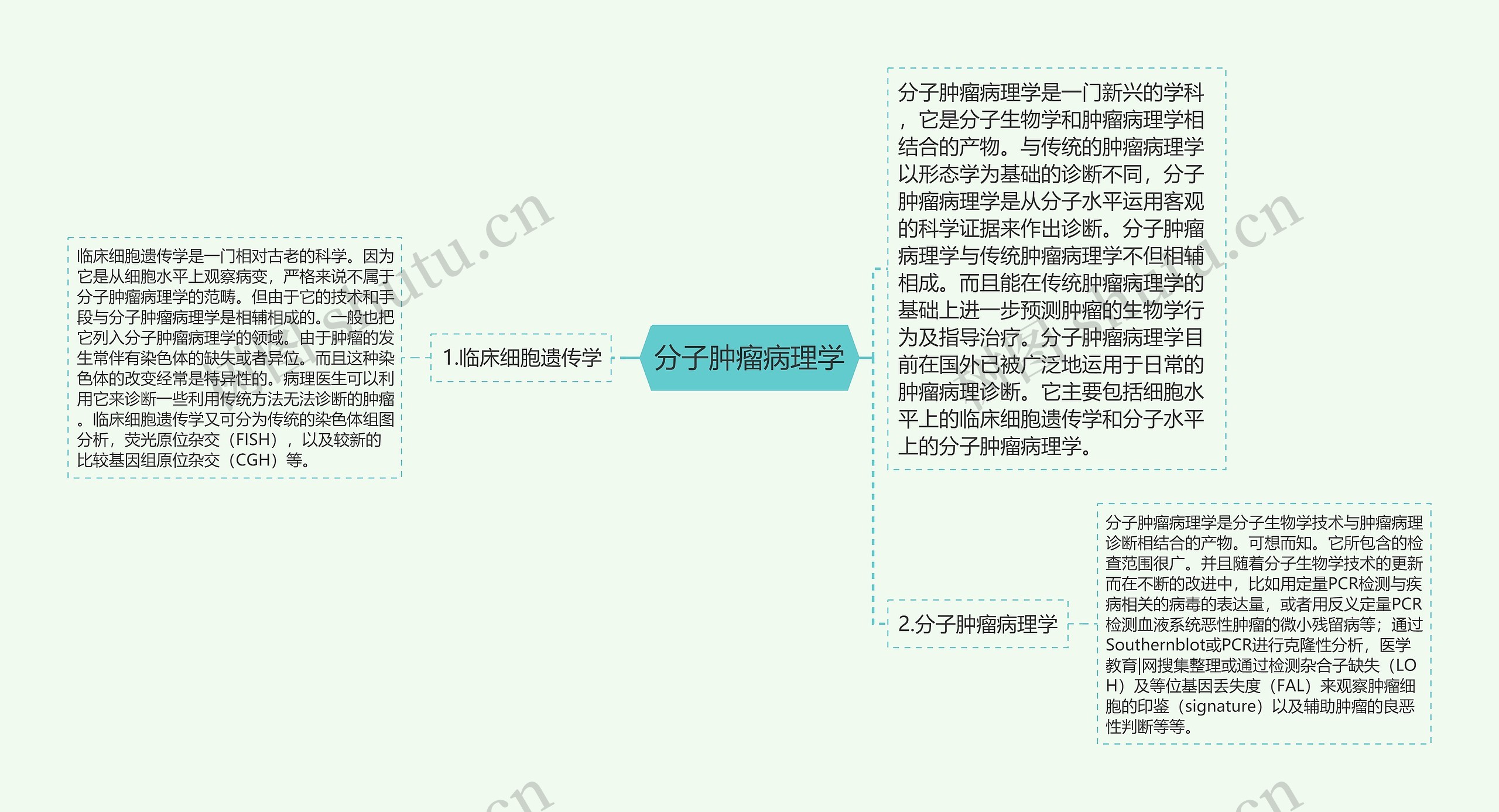 分子肿瘤病理学思维导图