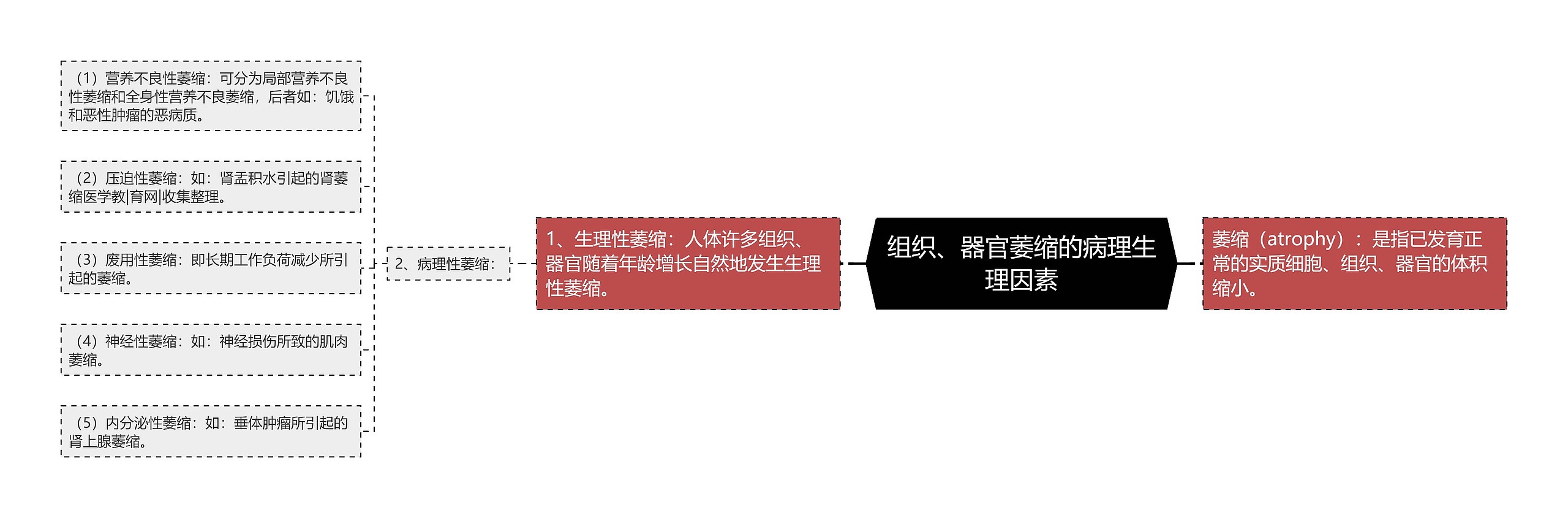 组织、器官萎缩的病理生理因素