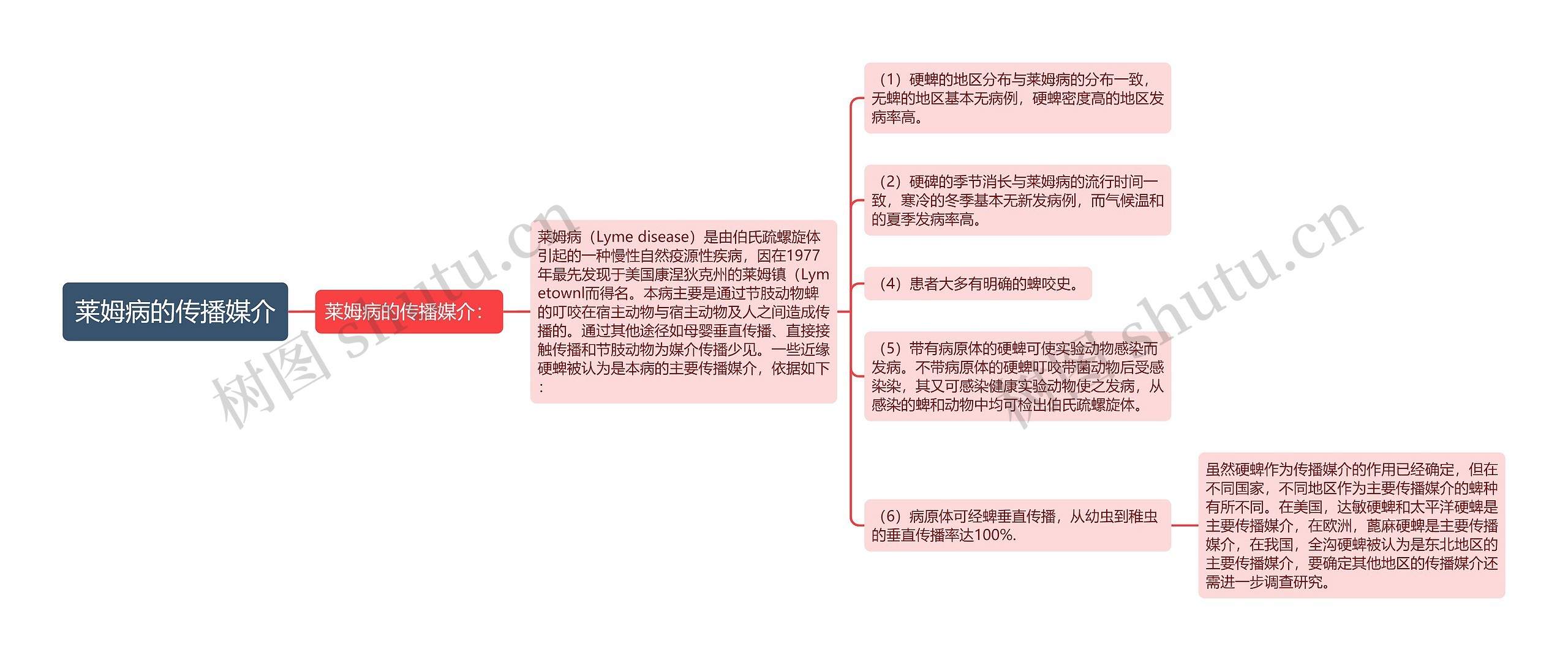 莱姆病的传播媒介 莱姆病的传播媒介