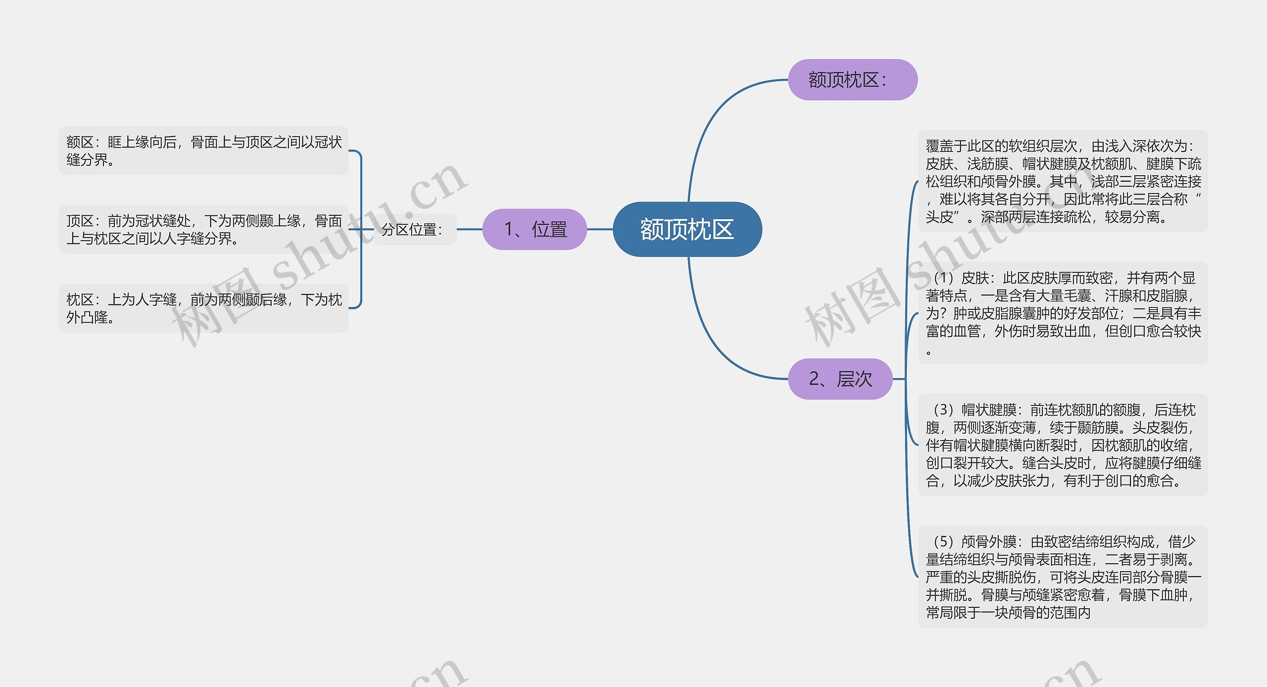 额顶枕区思维导图