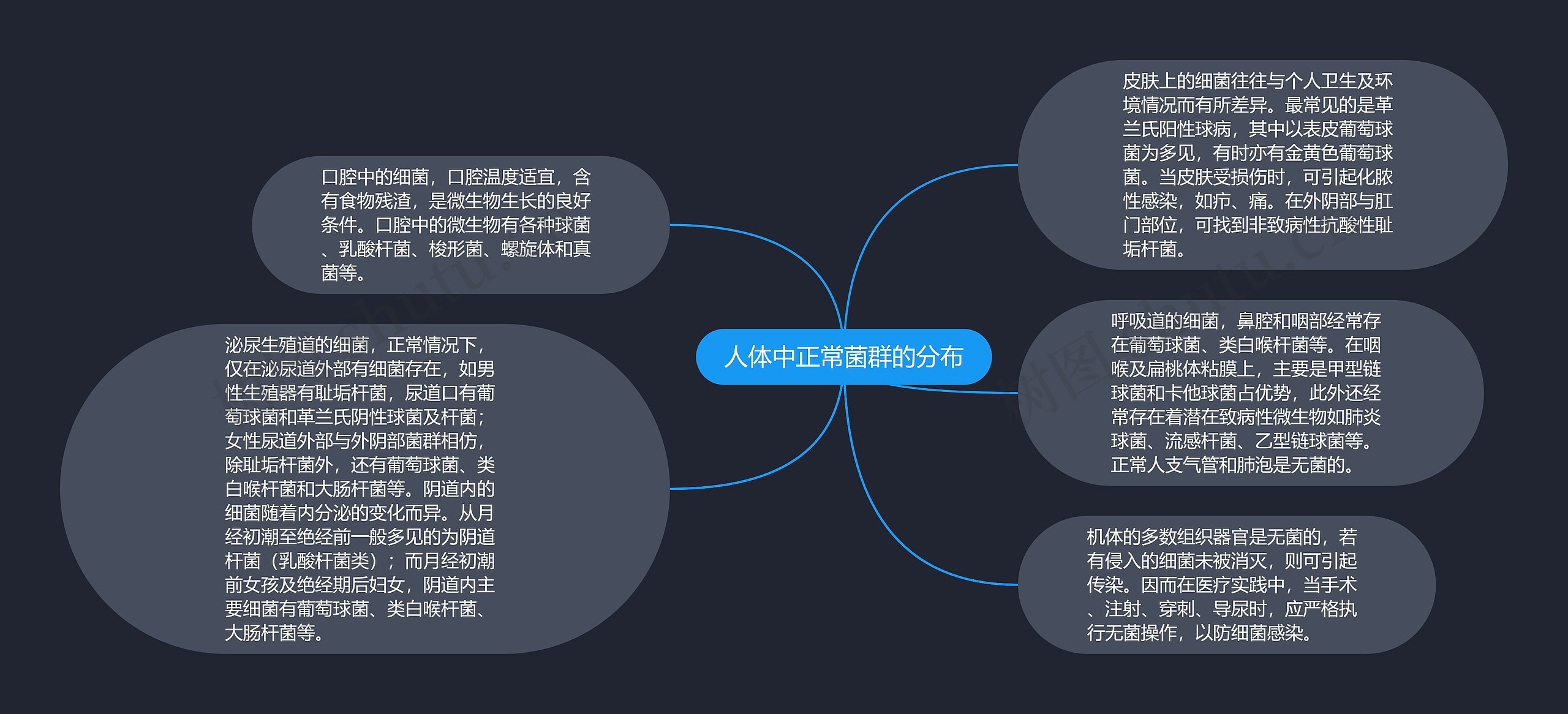 人体中正常菌群的分布 人体中正常菌群的分布