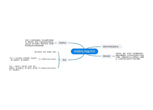 牙的形态/构造/牙式