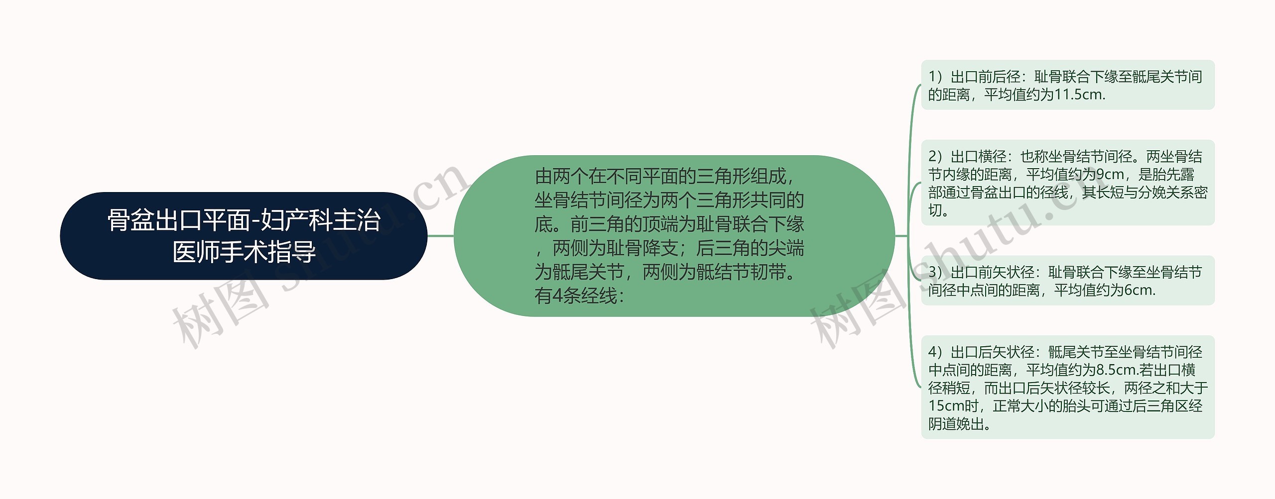骨盆出口平面-妇产科主治医师手术指导 骨盆出口平面-妇产科主治医师手术指导