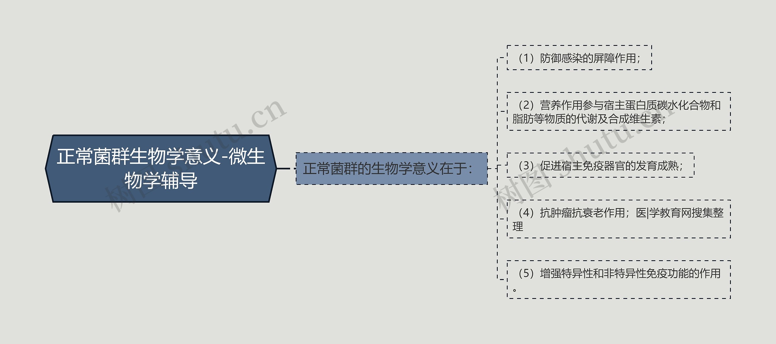 正常菌群生物学意义-微生物学辅导思维导图