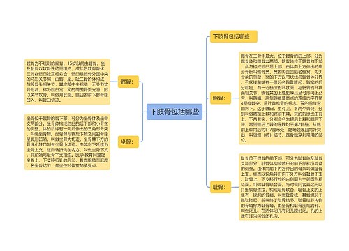 下肢骨包括哪些