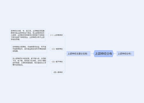 上颌神经分布