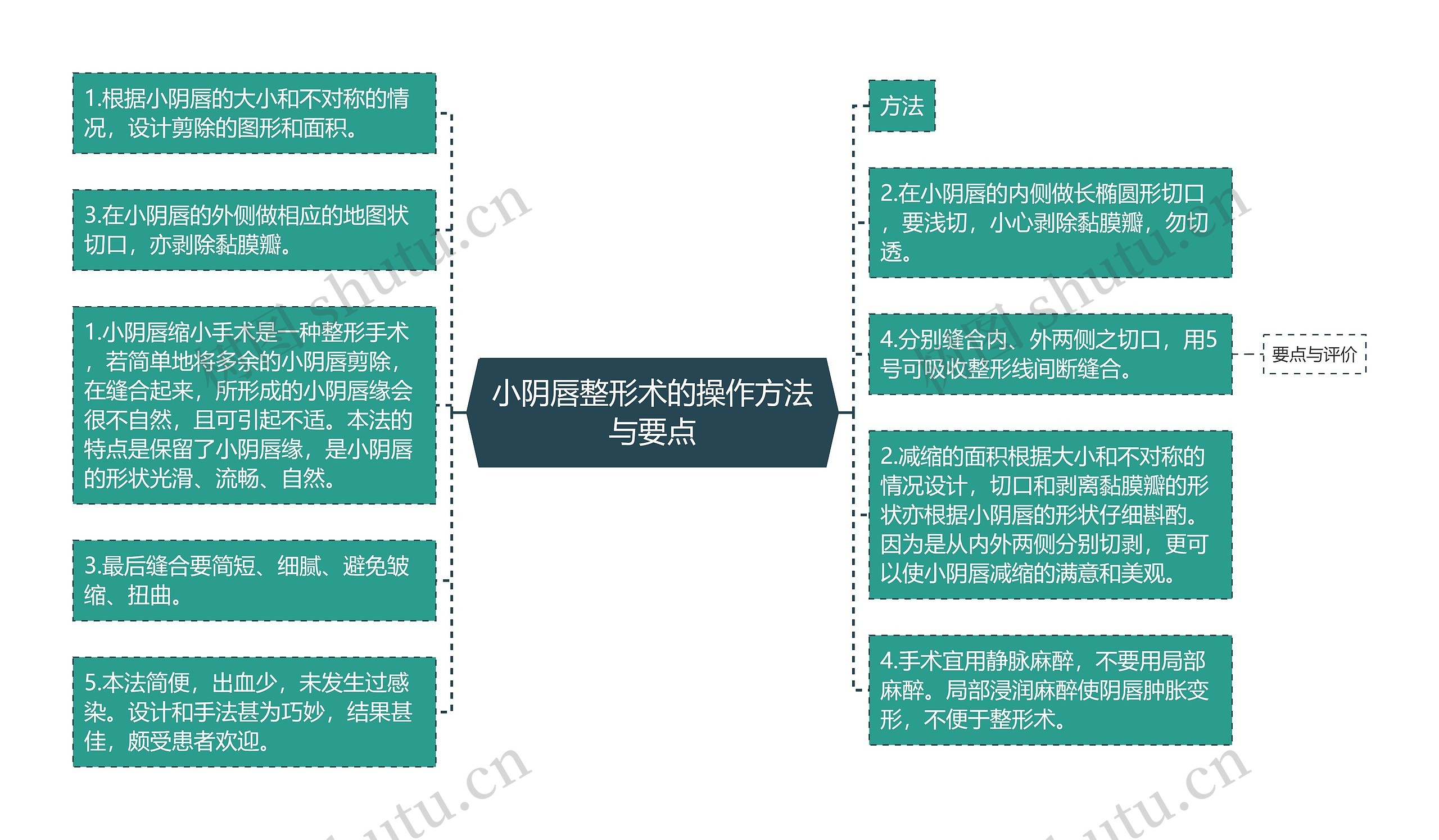 小阴唇整形术的操作方法与要点