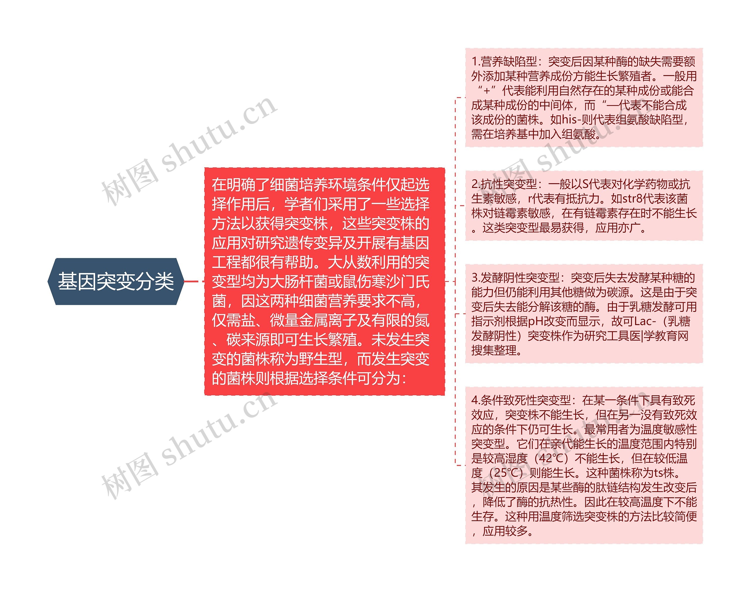 基因突变分类 基因突变分类