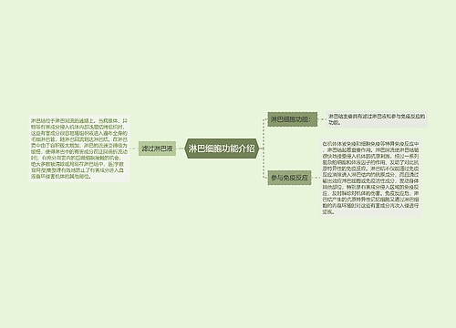 淋巴细胞功能介绍