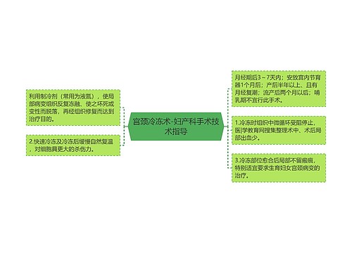 宫颈冷冻术-妇产科手术技术指导