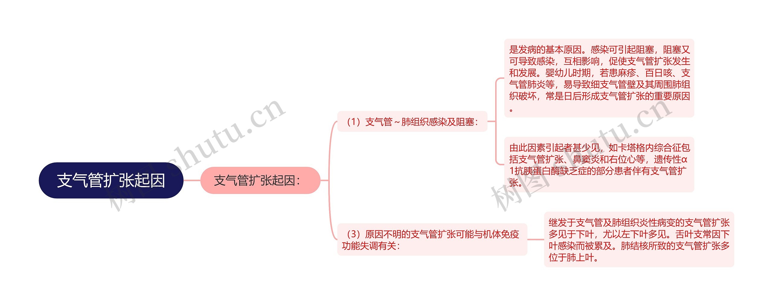 支气管扩张起因思维导图