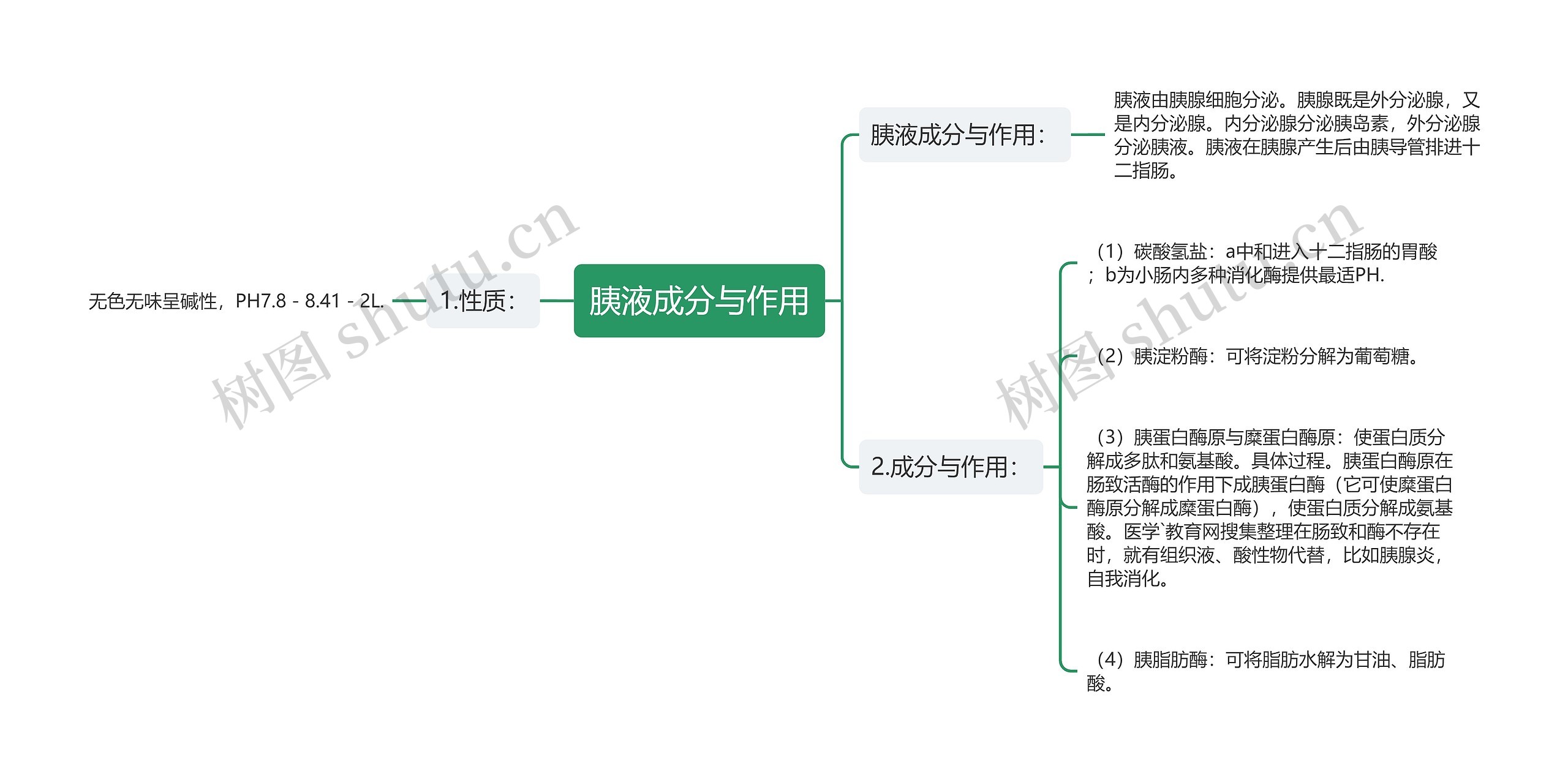 胰液成分与作用思维导图