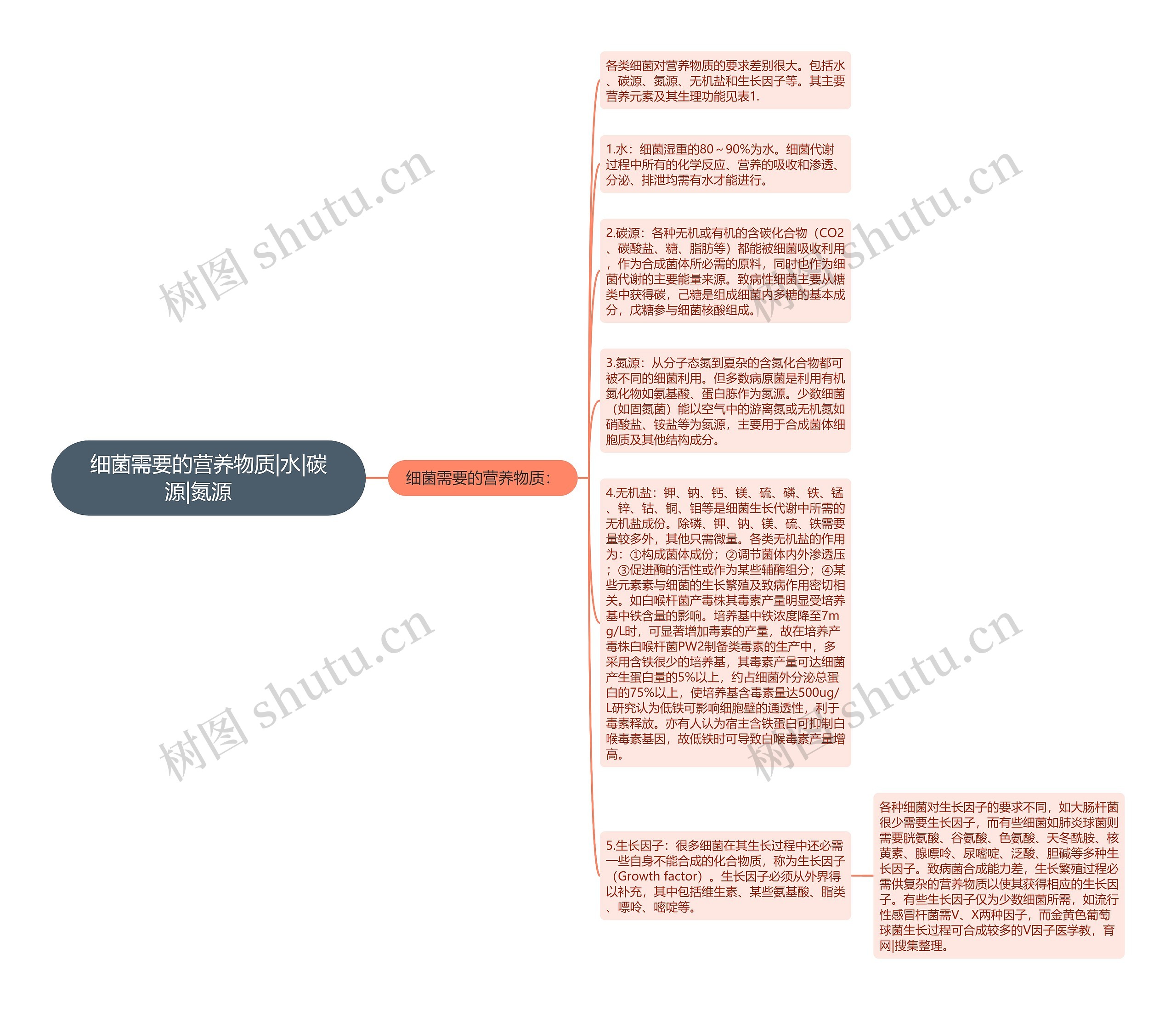 细菌需要的营养物质|水|碳源|氮源　