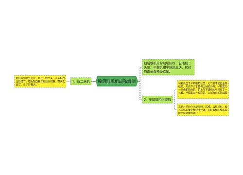 股后群肌组成和解剖