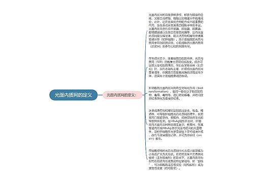 光面内质网的定义