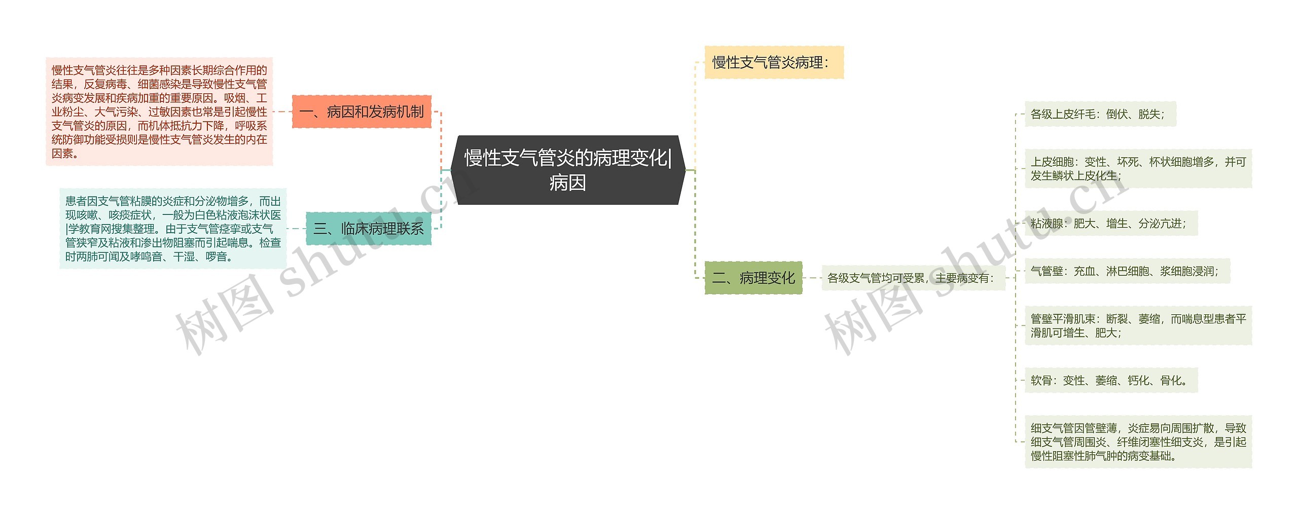 慢性支气管炎的病理变化|病因思维导图