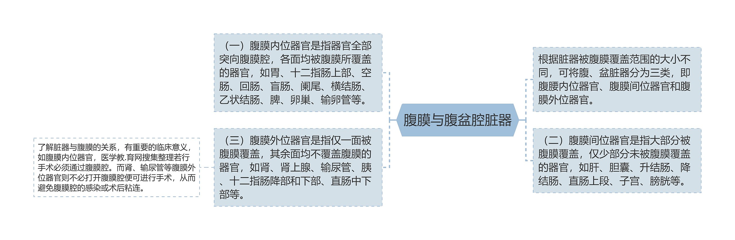 腹膜与腹盆腔脏器 腹膜与腹盆腔脏器