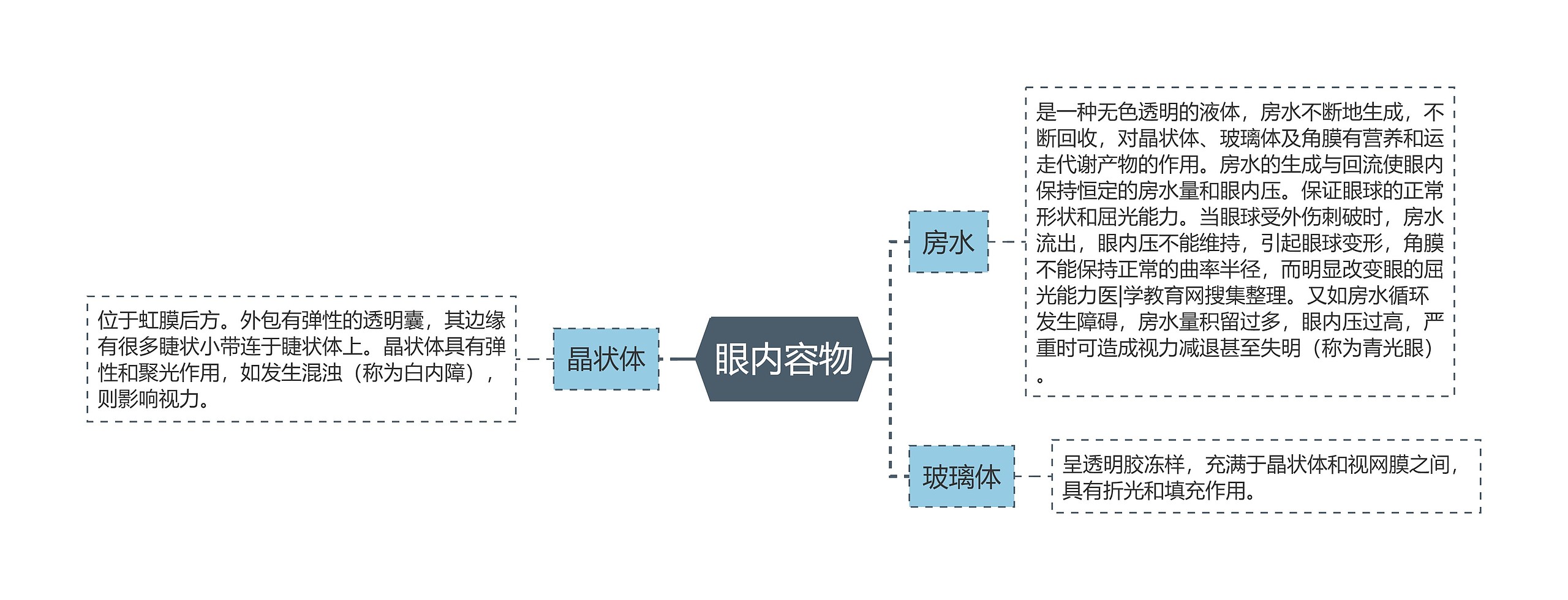 眼内容物思维导图